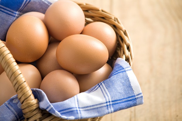 eggs_72800755