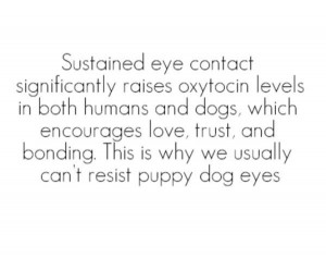 Eye Contact